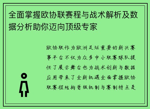 全面掌握欧协联赛程与战术解析及数据分析助你迈向顶级专家